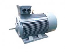 榆林高壓電機(jī)配YE3電機(jī)件價格喜迎顧客